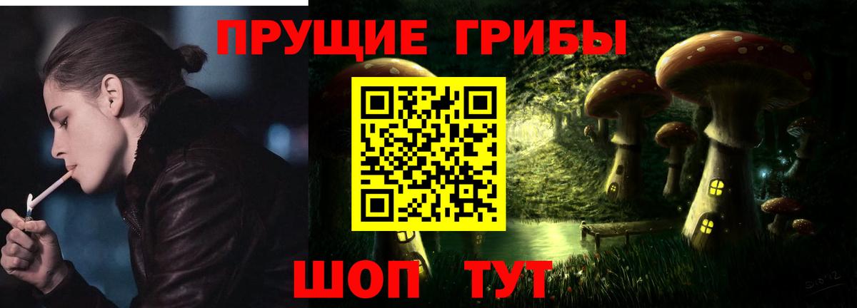 Галлюциногенные грибы Psilocybine cubensis Копейск